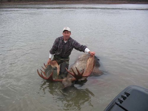 A 53 inch bull in the Noatak River.jpg