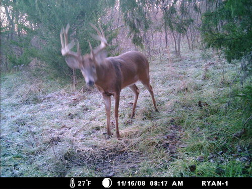 Morning after Pic.jpg