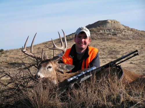 James White Tail Deer.jpg James White Tail Deer.jpg