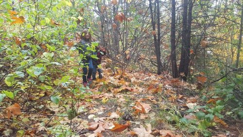 20161009_144439.jpg 20161009_144439.jpg