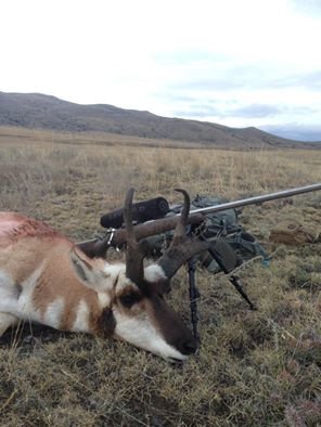 antelope 2016.jpg