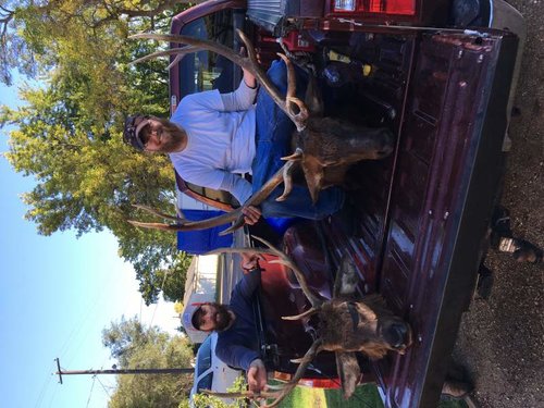 matt and derek elk.jpg