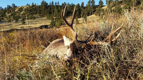 20161001_084330.jpg