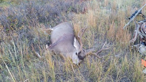 20161001_080428.jpg