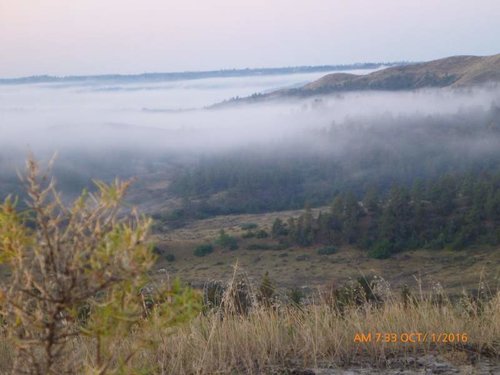 P1020331.jpg