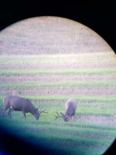 20161010_072611.jpg 20161010_072611.jpg