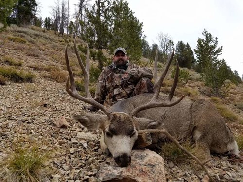 180 Deer Long Armed.jpg 180 Deer Long Armed.jpg