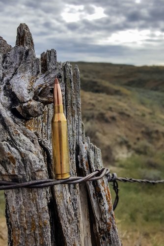 Nosler260.jpg Nosler260.jpg
