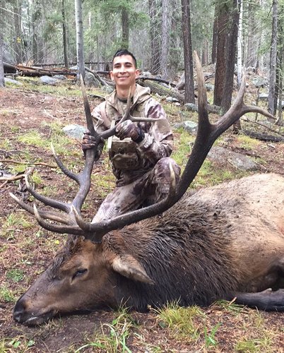 NM elk .JPG NM elk .JPG