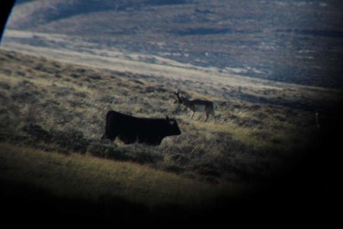 IMG_0308.jpg IMG_0308.jpg