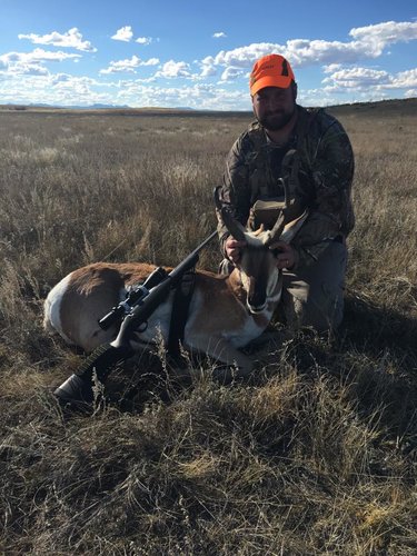 buck4.jpg buck4.jpg