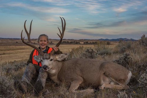 Olivia's Mule deer.jpg