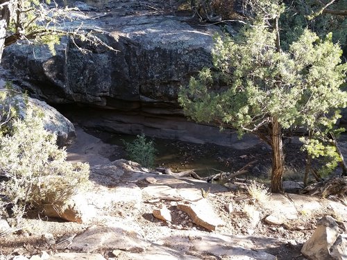 waterhole.jpg waterhole.jpg