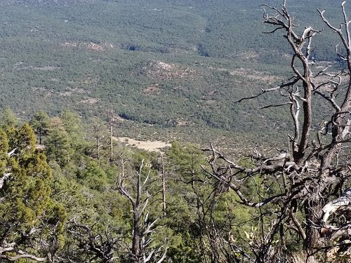canyons.jpg canyons.jpg