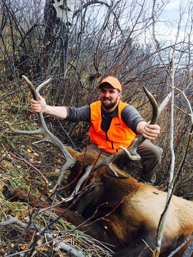 Mike's Elk.jpg Mike's Elk.jpg
