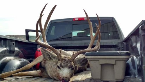 10-29-2016 droid pics 050.jpg 10-29-2016 droid pics 050.jpg