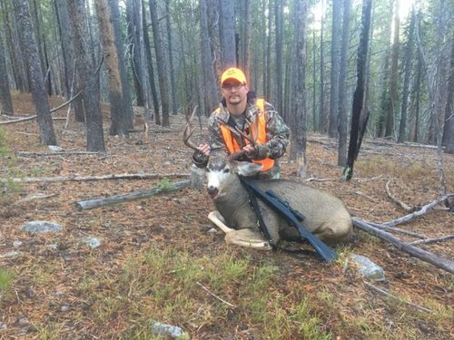 deer 2016 (2).jpg deer 2016 (2).jpg