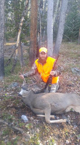 Deer 2016 (3).jpg Deer 2016 (3).jpg