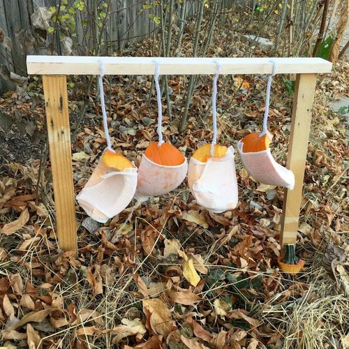 pumpkin (2).jpg