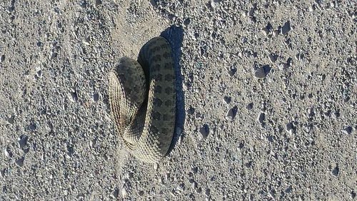 20160916_105236.jpg 20160916_105236.jpg