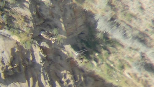 20160825_134515.jpg 20160825_134515.jpg