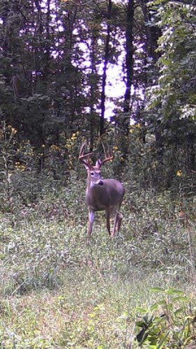 2016 bucks.jpg 2016 bucks.jpg