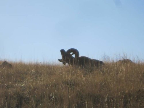 IMG_1860.jpg IMG_1860.jpg