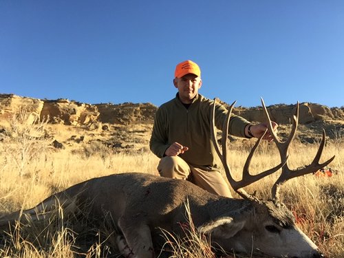 2016 Deer2.JPG