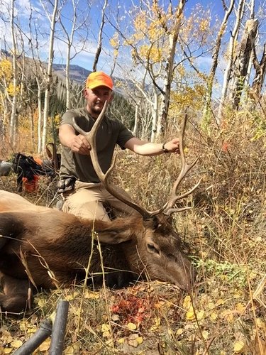 2016 elk3.jpg