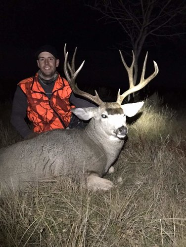 2016 Mule Deer 2.jpg 2016 Mule Deer 2.jpg
