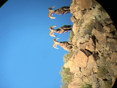IMG_0200.jpg IMG_0200.jpg