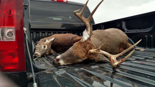 2016double2.jpg 2016double2.jpg
