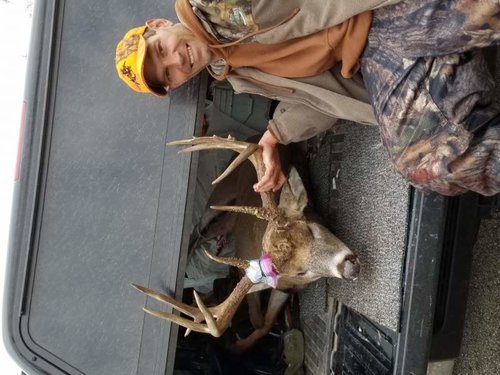 gregs 2016 deer #4.jpg gregs 2016 deer #4.jpg