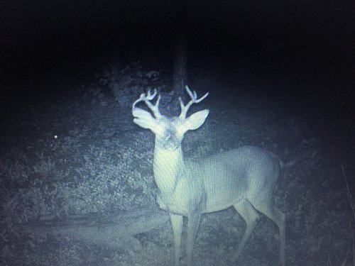 IMG_3280.jpg IMG_3280.jpg