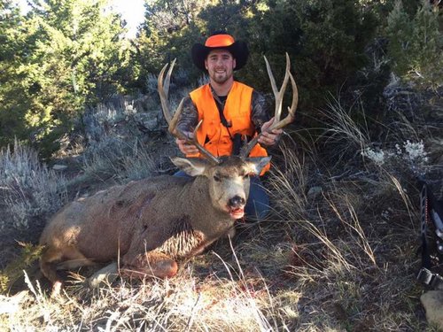 Mule deer 2.jpg Mule deer 2.jpg