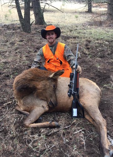 Elk 2.jpg Elk 2.jpg