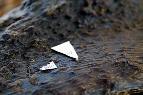 IMG_7065 (2).jpg IMG_7065 (2).jpg