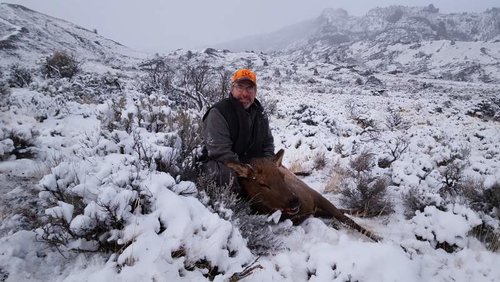 2016 wyoming elk.jpg