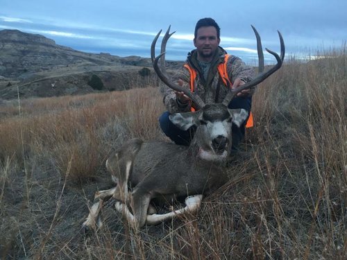MT Buck 2016.jpg