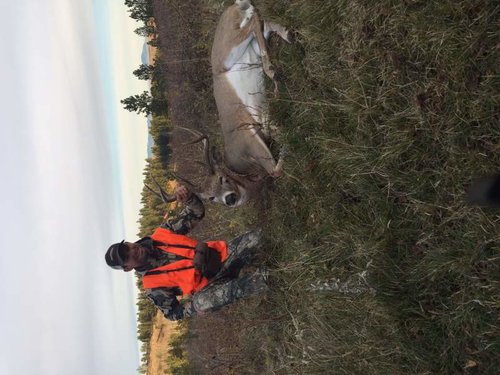 IMG_3040.jpg IMG_3040.jpg