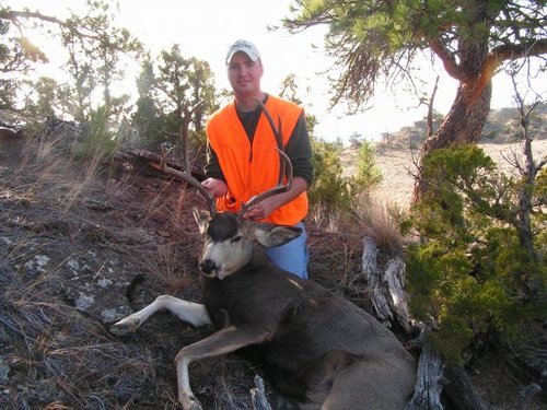 James Mule Deer.jpg James Mule Deer.jpg