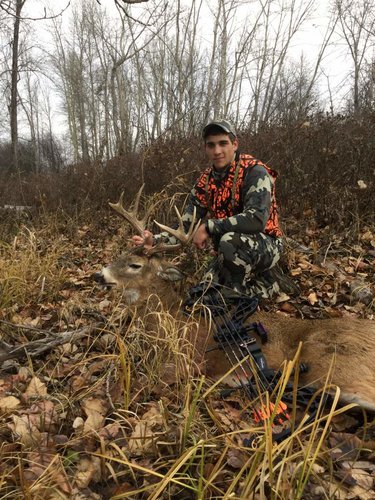 Buck 20162.jpg Buck 20162.jpg