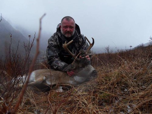 Kodiak buck.jpg Kodiak buck.jpg