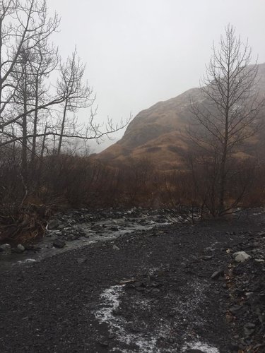 Kodiak deer location.jpg Kodiak deer location.jpg