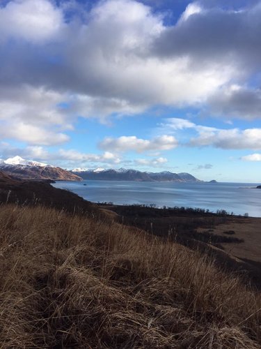 Kodiak Kiluda Bay.jpg Kodiak Kiluda Bay.jpg