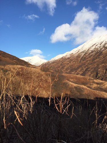 kodiak terrain 1.jpg kodiak terrain 1.jpg