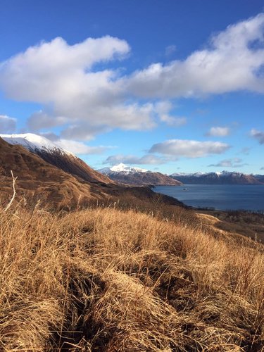 kodiak terrain.jpg kodiak terrain.jpg
