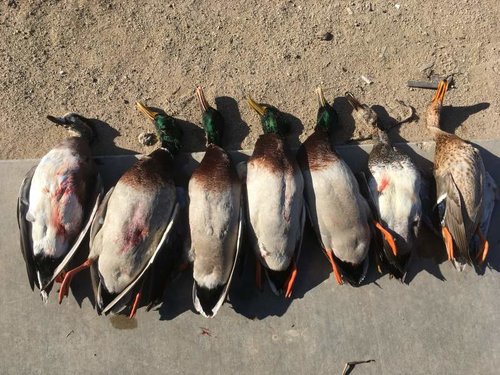 IMG_0642.jpg IMG_0642.jpg