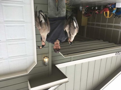 IMG_0673.jpg IMG_0673.jpg