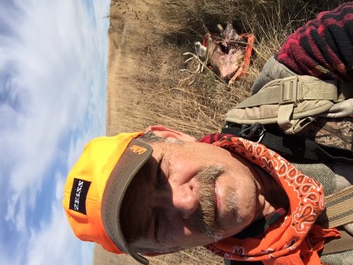 mule deer 2016 a.JPG mule deer 2016 a.JPG